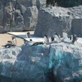 春の陽気の葛西臨海公園ツアー