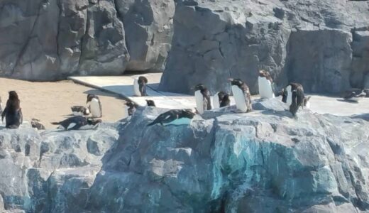 春の陽気の葛西臨海公園ツアー